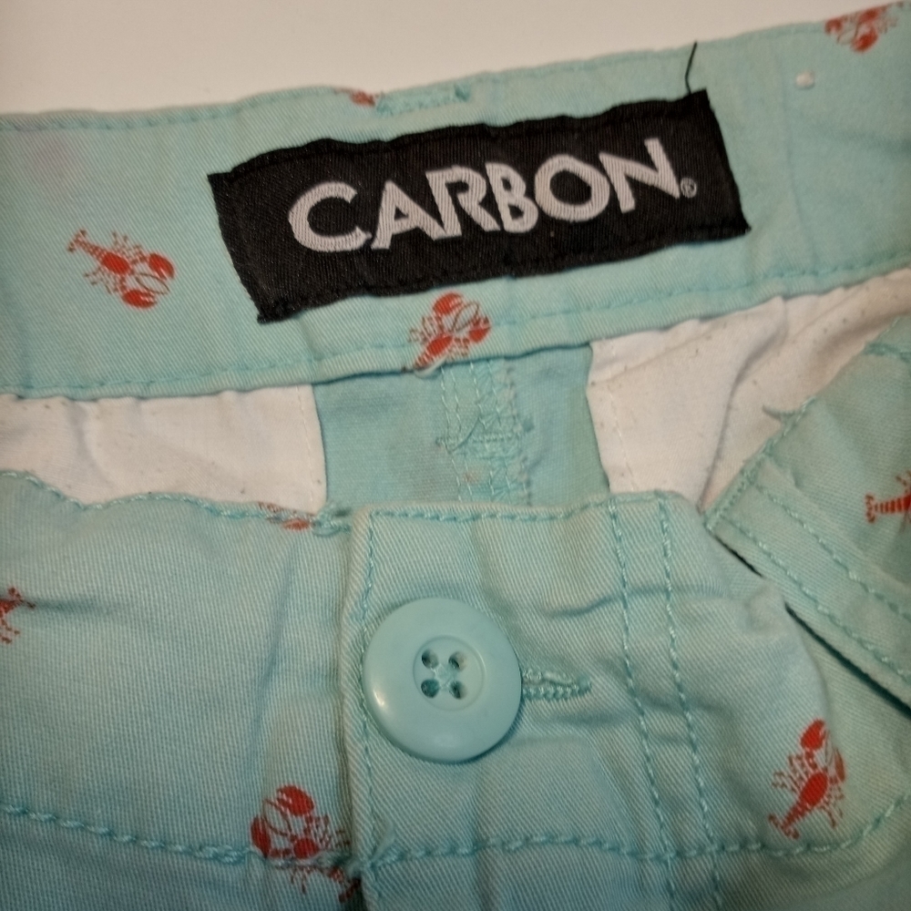 CARBON Freedom Flex Shorts Men's 28 - Picture 4 of 5
